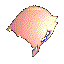 RS